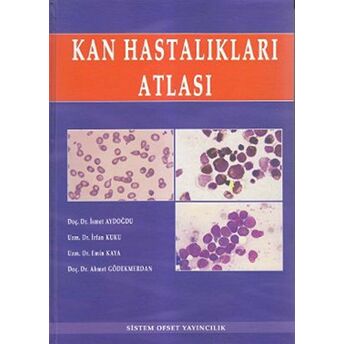 Kan Hastalıkları Atlası Ciltli Ahmet Gödekmerdan