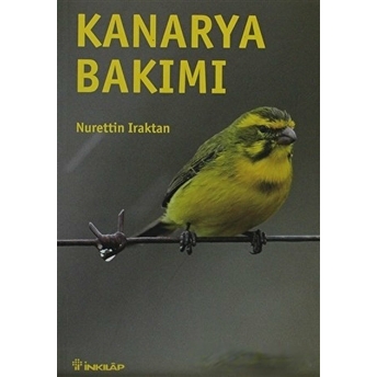 Kanarya Bakımı Nurettin Iraktan