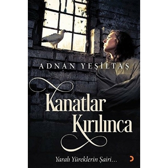 Kanatlar Kırılınca Adnan Yeşiltaş