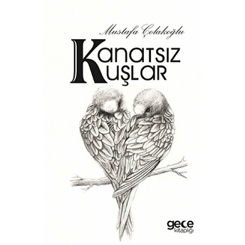 Kanatsız Kuşlar Mustafa Çolakoğlu