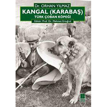 Kangal (Karabaş) Türk Çoban Köpeği Orhan Yılmaz