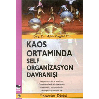 Kaos Ortamında Self Organizasyon Davranışı-Melek Vergiliel Tüz