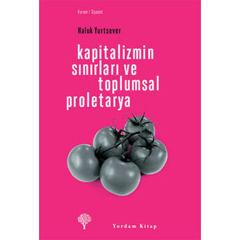 Kapitalizmin Sınırları Ve Toplumsal Proletarya Haluk Yurtsever