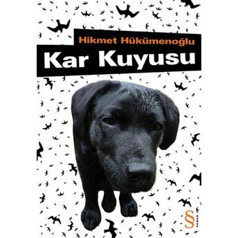 Kar Kuyusu Hikmet Hükümenoğlu