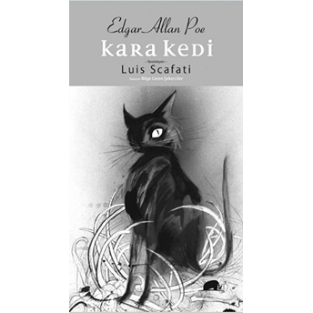 Kara Kedi Edgar Allan Poe