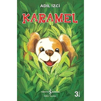 Karamel Adil Izci