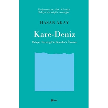 Kare-Deniz Hasan Akay