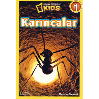 Karıncalar - Seviye 1