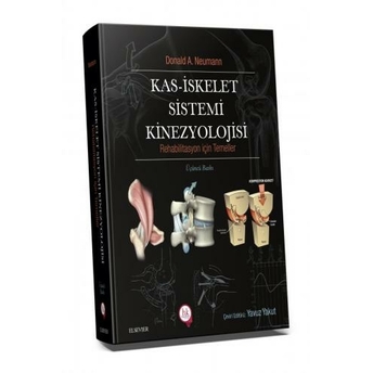 Kas Iskelet Sistemi Kinezyolojisi Yavuz Yakut