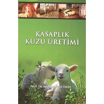 Kasaplık Kuzu Üretimi Ve Kuzu Besiciliği Mehmet Emin Tekin