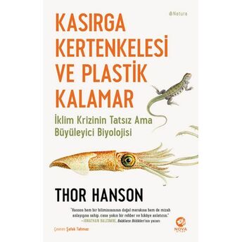 Kasırga Kertenkelesi Ve Plastik Kalamar Thor Hanson