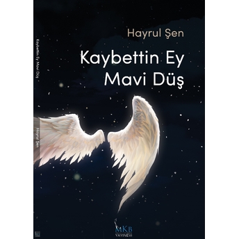 Kaybettin Ey Mavi Düş Hayrul Şen