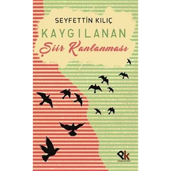 Kaygılanan Şiir Kanlanması  - Seyfettin Kılıç