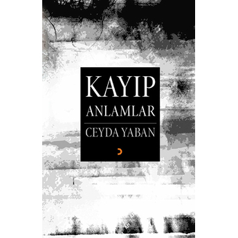 Kayıp Anlamlar-Ceyda Yaban