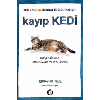 Kayıp Kedi