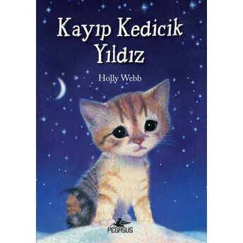 Kayıp Kedicik Yıldız Holly Webb