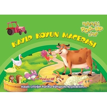 Kayıp Koyun Macerası Kolektıf