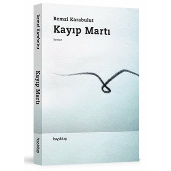 Kayıp Martı Remzi Karabulut