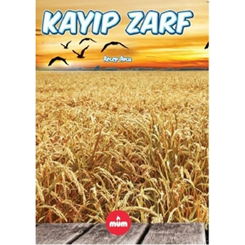 Kayıp Zarf Recep Avcu