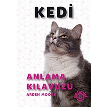 Kedi Anlama Kılavuzu Arden Moore