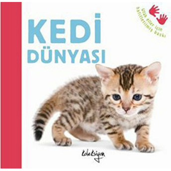 Kedi Dünyası Katie Hewat