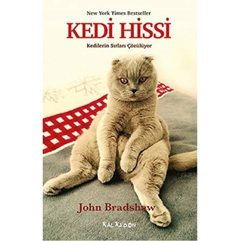 Kedi Hissi