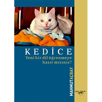 Kedice