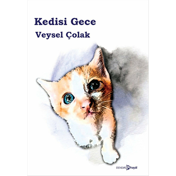 Kedisi Gece