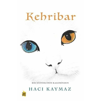 Kehribar Hacı Kaymaz