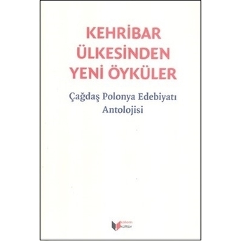 Kehribar Ülkesinden Yeni Öyküler Çağdaş Polonya Edebiyatı Antolojisi Kolektif