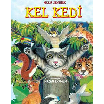 Kel Kedi Nazır Şentürk