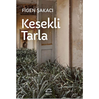 Kesekli Tarla Figen Şakacı