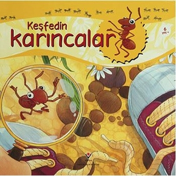 Keşfedin - Karıncalar Alejandro Algarra