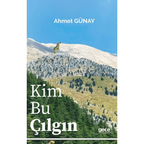 Kim Bu Çılgın Ahmet Günay