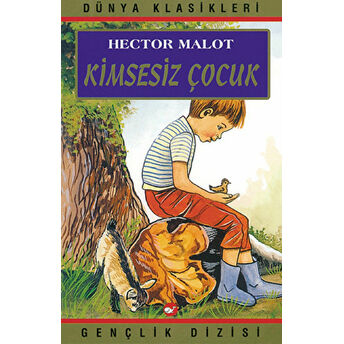 Kimsesiz Çocuk Hector Malot