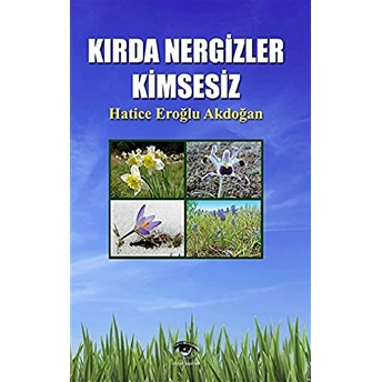 Kırda Nergizler Kimsesiz Hatice Eroğlu Akdoğan