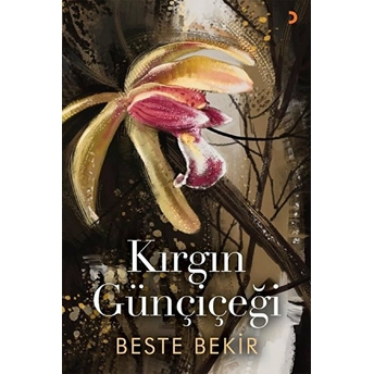 Kırgın Günçiçeği - Beste Bekir - Beste Bekir