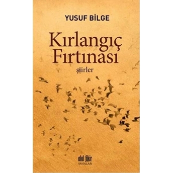 Kırlangıç Fırtınası Yusuf Bilge