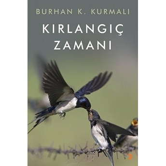 Kırlangıç Zamanı - Burhan K. Kurmalı