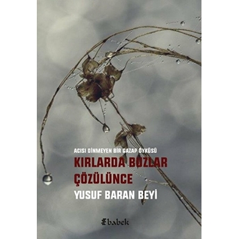 Kırlarda Buzlar Çözülünce - Yusuf Baran Beyi