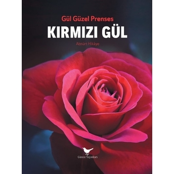 Kırmızı Gül Güzel Gül Prenses