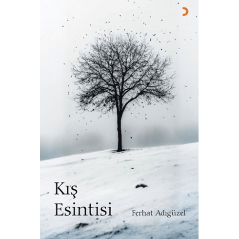 Kış Esintisi Ferhat Adıgüzel