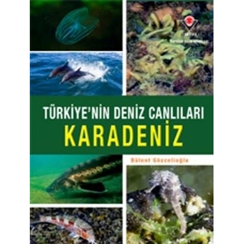 Kişisel Yayınlar Karadeniz   Türkiye'nin Deniz Canlıları