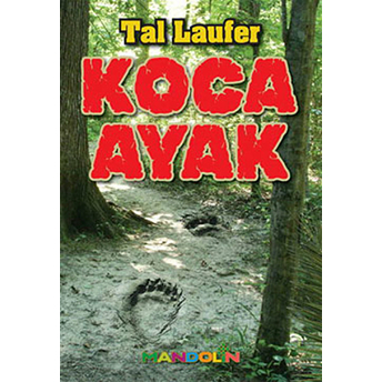 Koca Ayak Tal Laufer