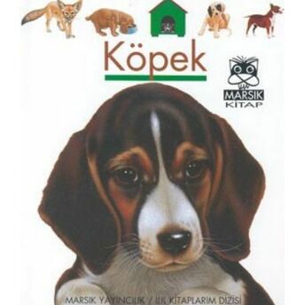 Köpek Kolektif