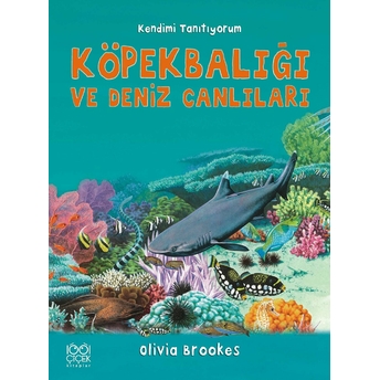 Köpekbalığı Ve Deniz Canlıları - Kendimi Tanıtıyorum Olivia Brookes