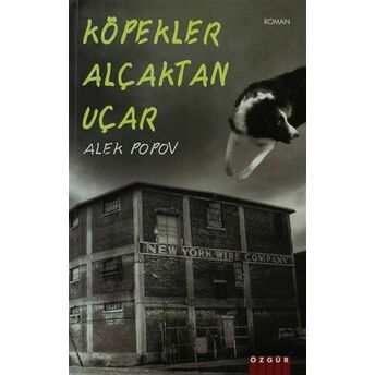 Köpekler Alçaktan Uçar - Gerçek Olaylar Üzerine Kurulmuş Alek Popov