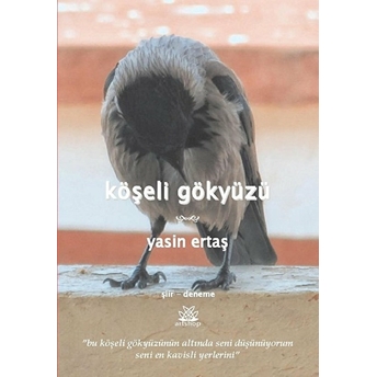 Köşeli Gökyüzü