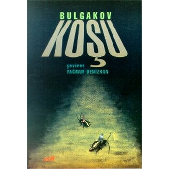 Koşu-Mihail Afansyeviç Bulgakov