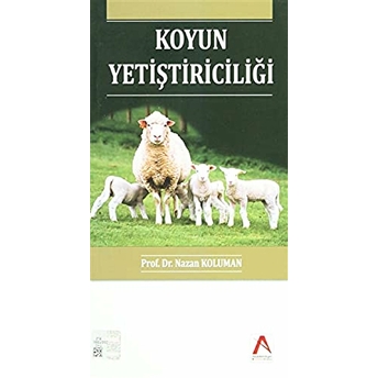 Koyun Yetiştiriciliği